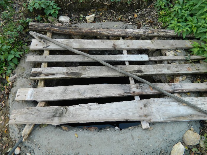 Picture 180 - Diverse-Claudiu