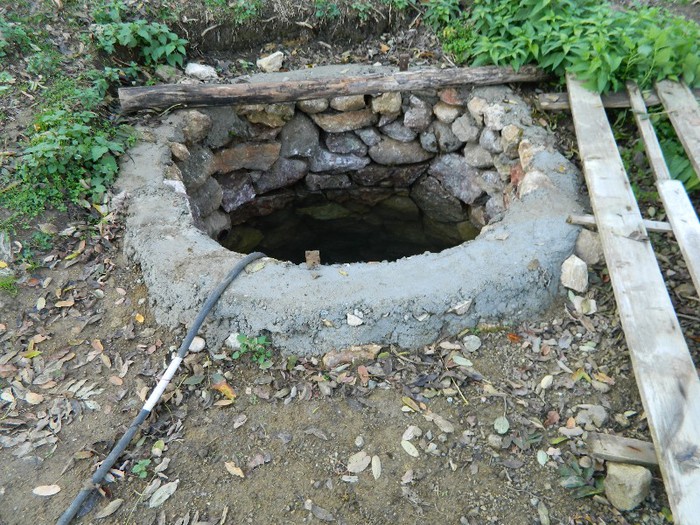 Picture 184 - Diverse-Claudiu