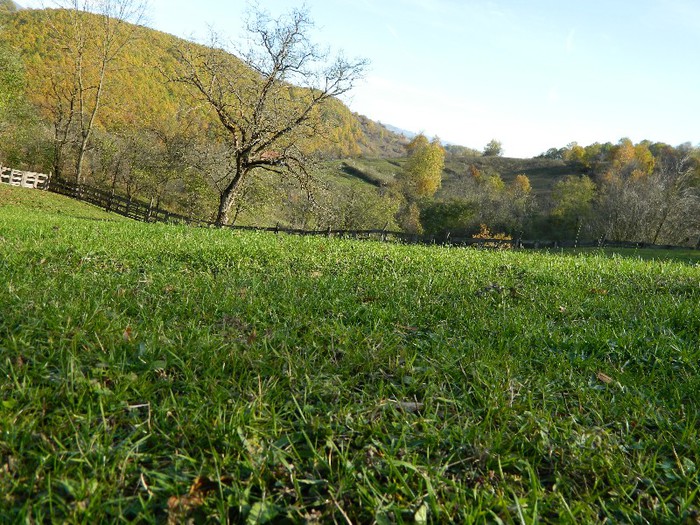 Picture 187 - Diverse-Claudiu