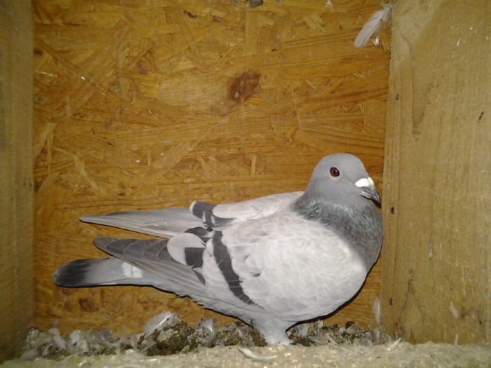 2012-11-03 21.59.56