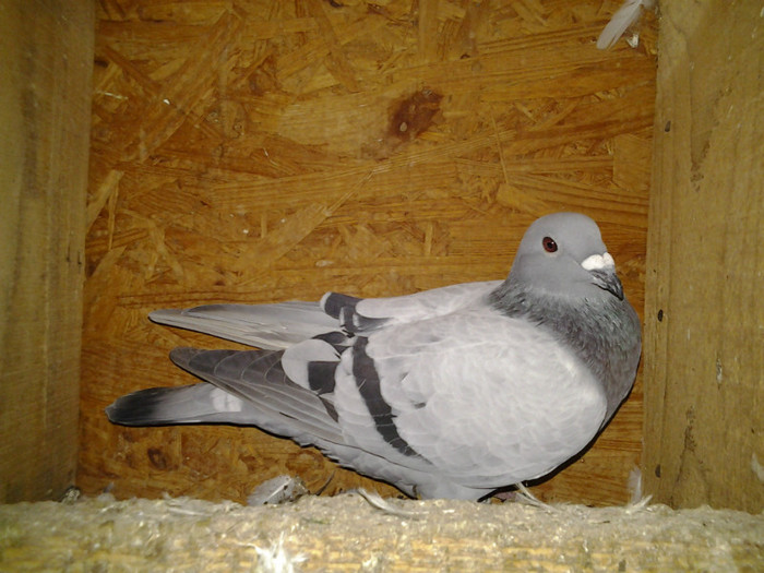 2012-11-03 22.00.01