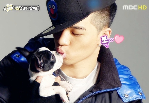 Taeyang si Boos - cantareti coreeni si animalele lor