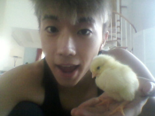 wooyoung si puiul lui - cantareti coreeni si animalele lor