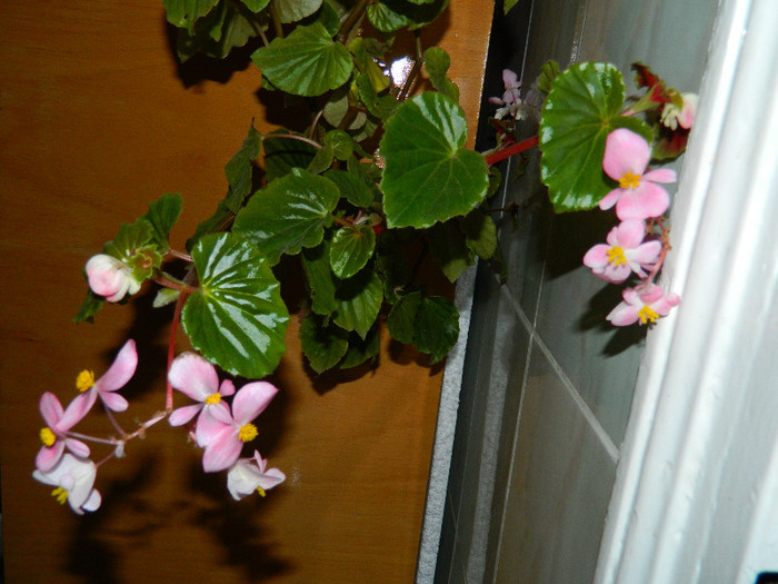 DSCN0753