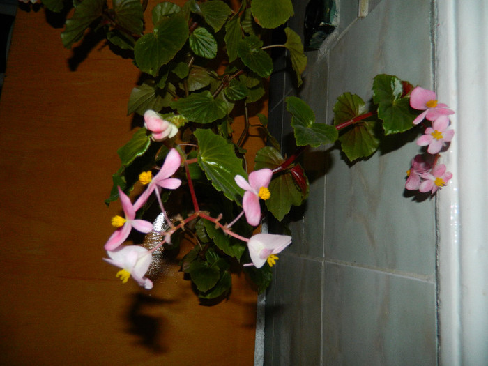 DSCN0760