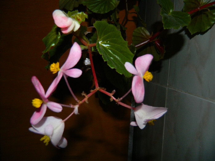 DSCN0761