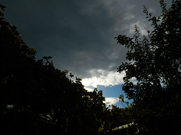 DSCN0763