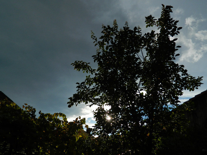 DSCN0764
