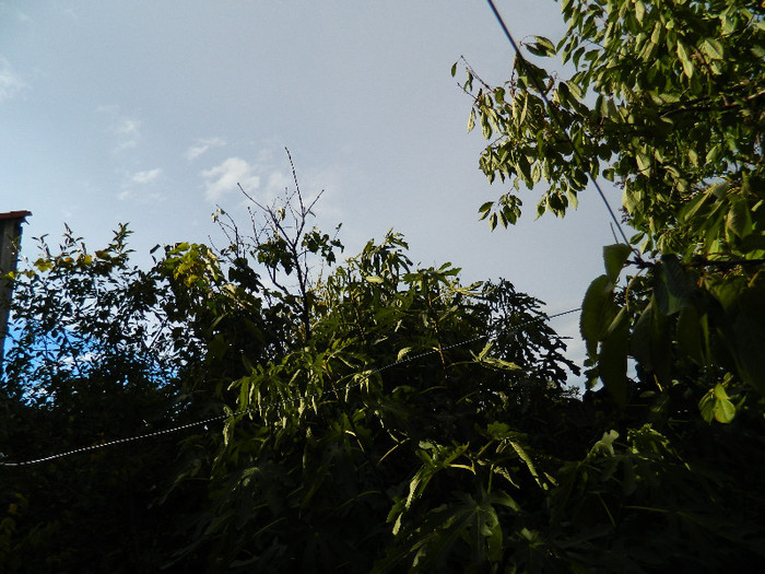 DSCN0769