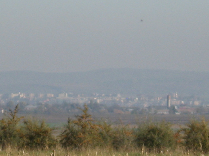 04.11.2012 034; Romanul vazut din Butnaresti, din livada.
