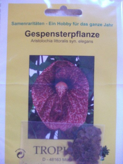 Picture 363 - flori si legume Germania