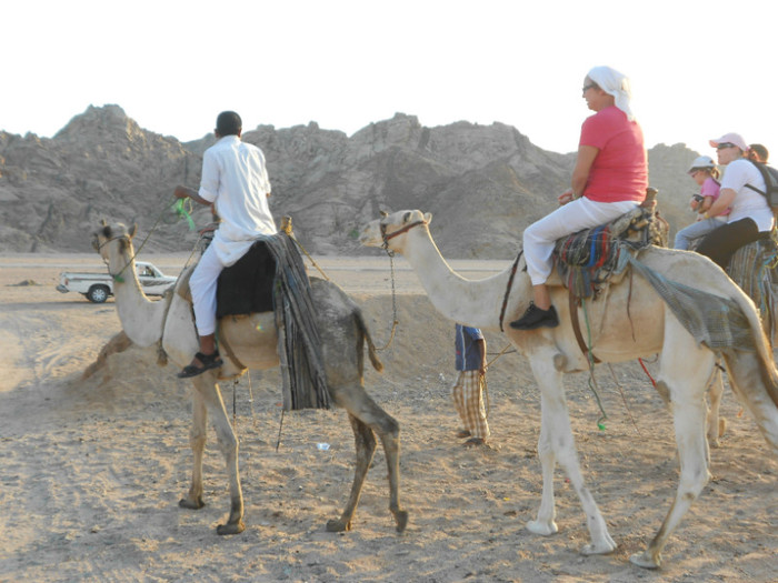 desertul SINAI-EGIPT