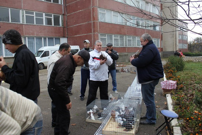 orhei 4.11.12 020b - Targul ORHEI 2012