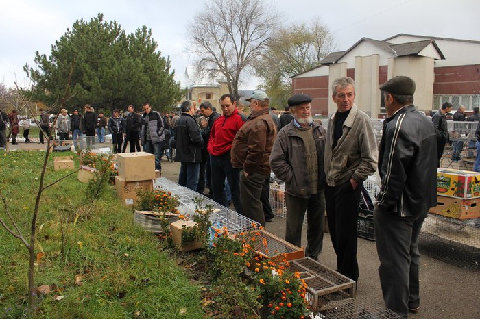 orhei 4.11.12 030b - Targul ORHEI 2012