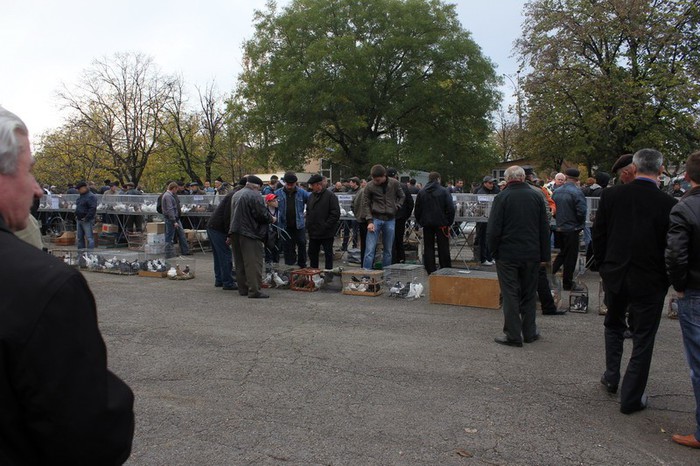 orhei 4.11.12 043b - Targul ORHEI 2012