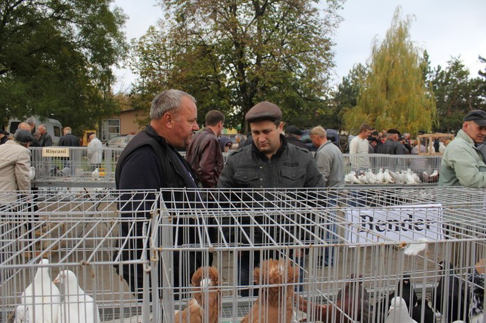 orhei 4.11.12 055b - Targul ORHEI 2012