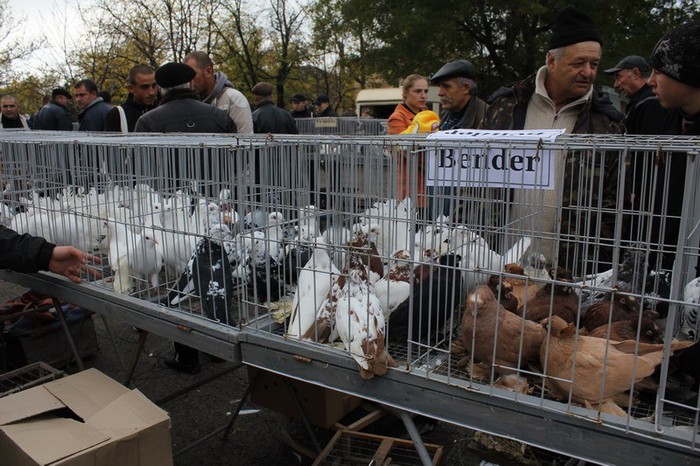 orhei 4.11.12 058b - Targul ORHEI 2012