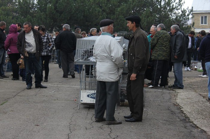 orhei 4.11.12 064b - Targul ORHEI 2012