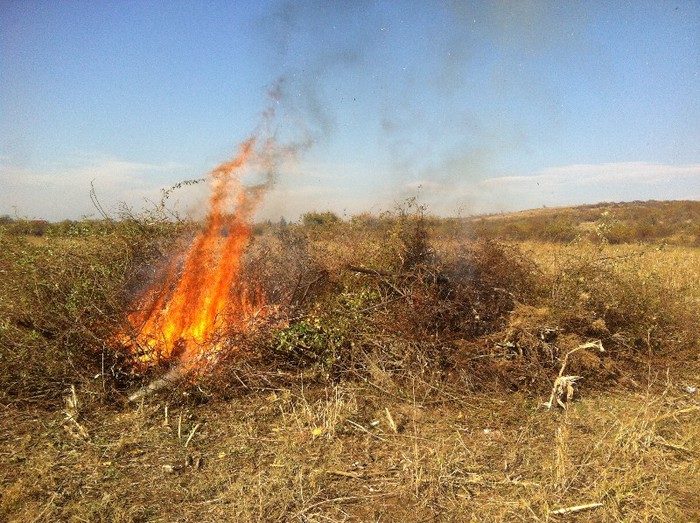 Arderea Maracinilor2