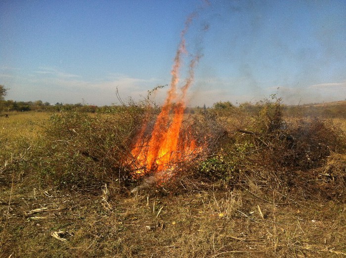 Arderea Maracinilor3