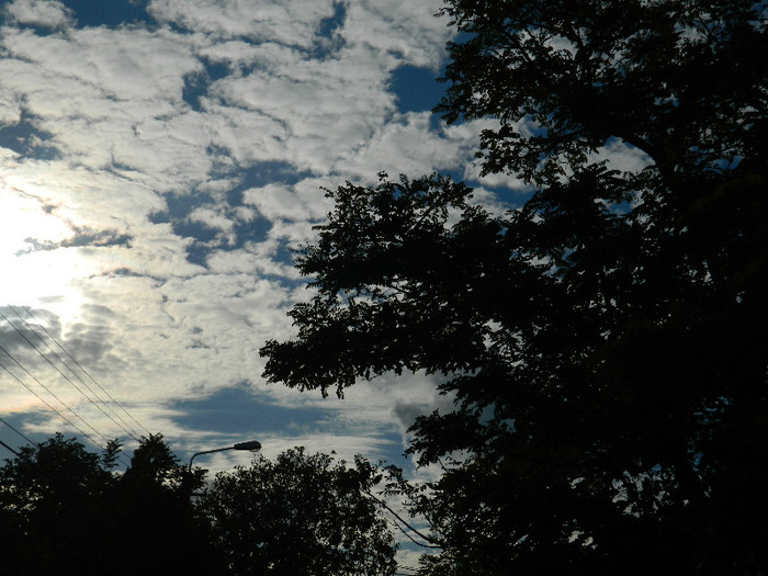 DSCN0984