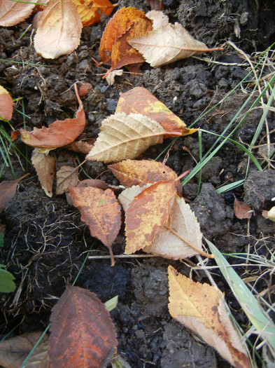 2012, November 03