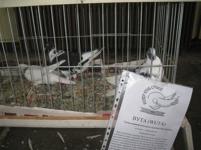 IMG_6342 - Novi Sad targ si expo octombrie 2012