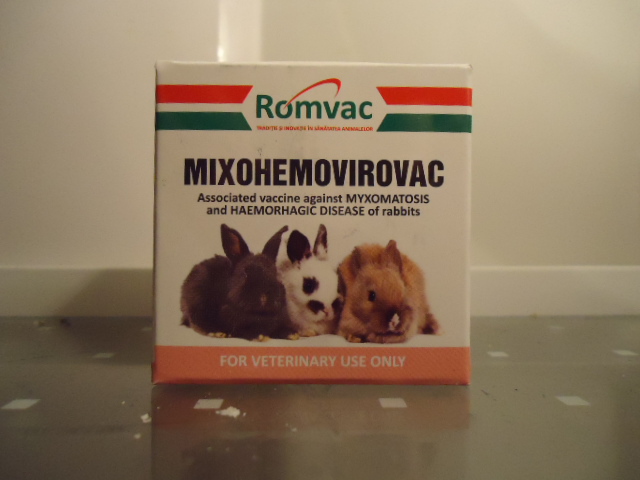 DSC02507 - x-Medicamente necesare ingrijirii iepurilor de rasa