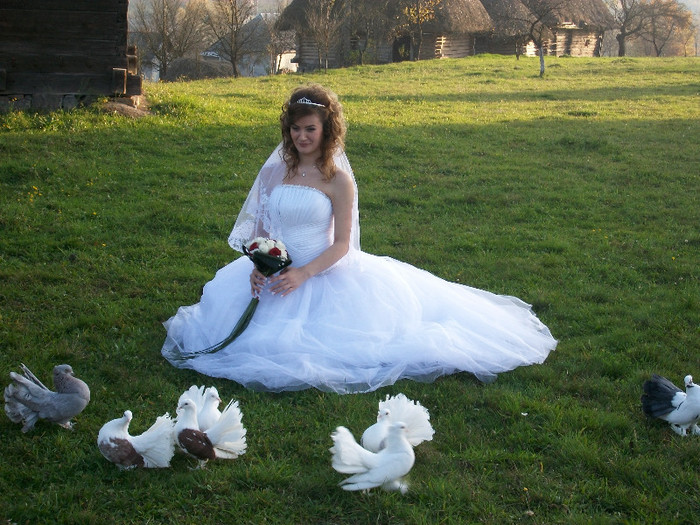 ALIM0053 - Nunta varului meu 4 noiembrie 2012