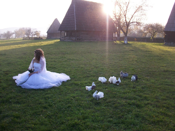 ALIM0058 - Nunta varului meu 4 noiembrie 2012