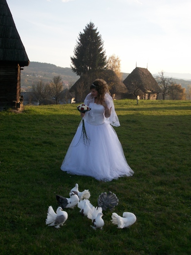 ALIM0068 - Nunta varului meu 4 noiembrie 2012