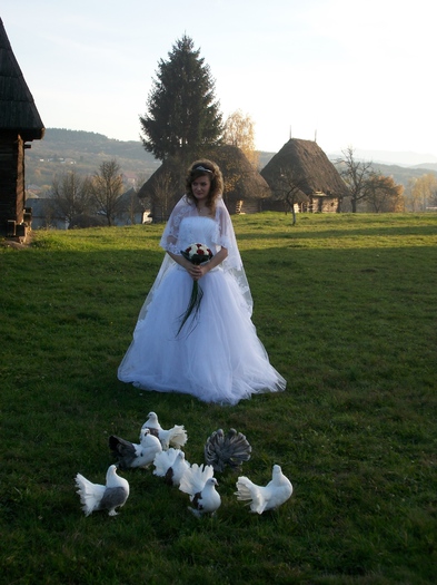 ALIM0069 - Nunta varului meu 4 noiembrie 2012
