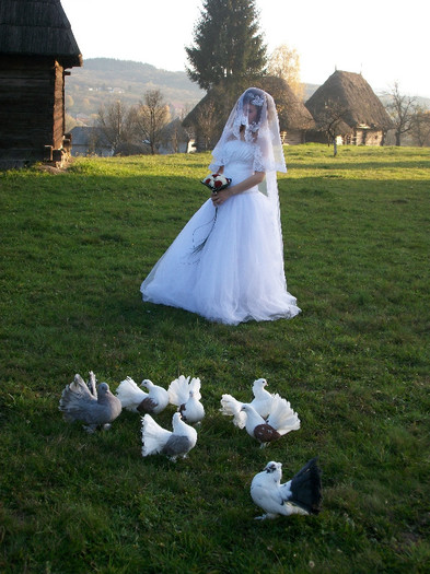 ALIM0071 - Nunta varului meu 4 noiembrie 2012