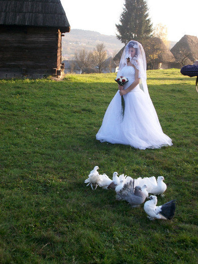 ALIM0072 - Nunta varului meu 4 noiembrie 2012