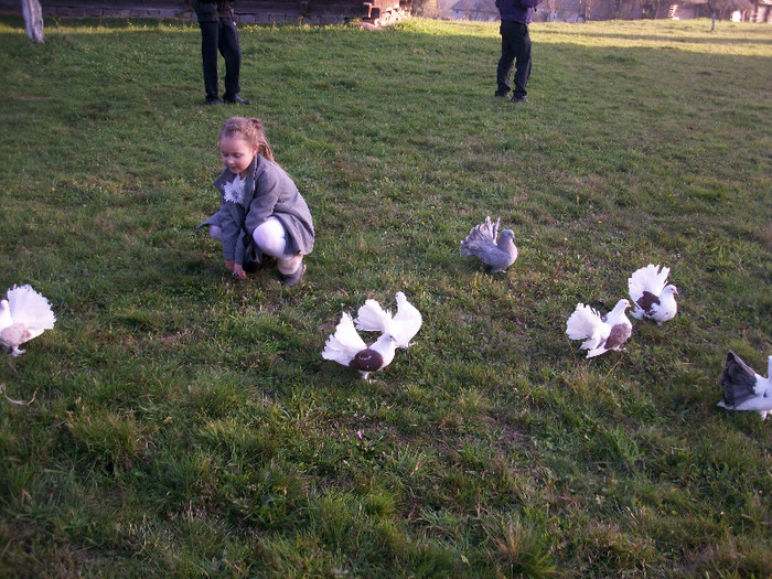 ALIM0078 - Nunta varului meu 4 noiembrie 2012