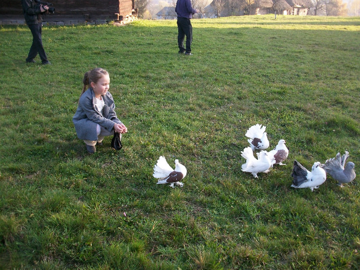 ALIM0079 - Nunta varului meu 4 noiembrie 2012