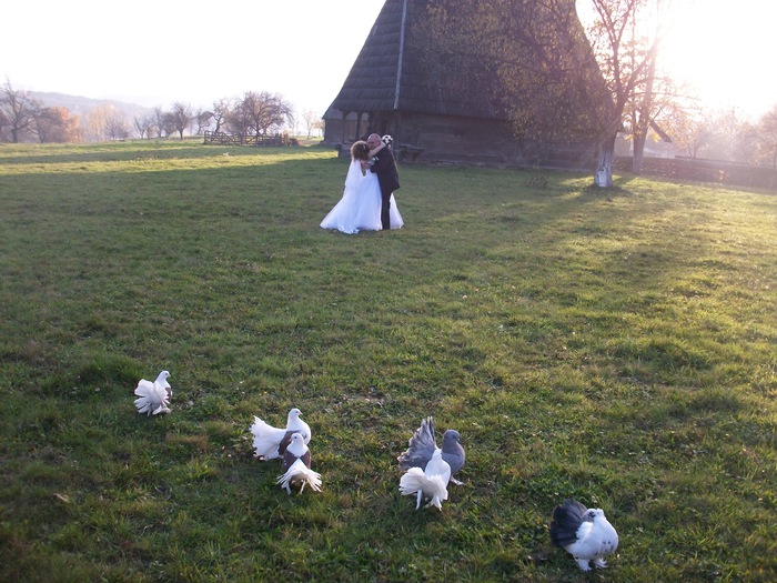 ALIM0083 - Nunta varului meu 4 noiembrie 2012