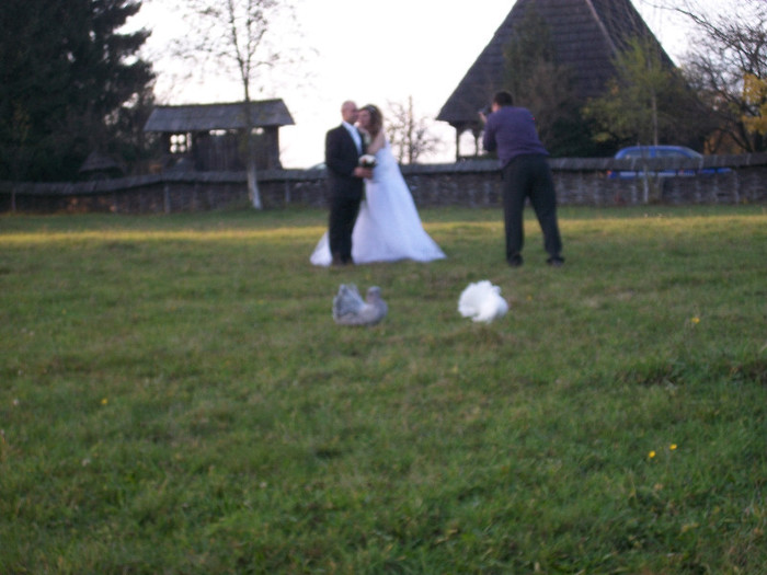 ALIM0104 - Nunta varului meu 4 noiembrie 2012