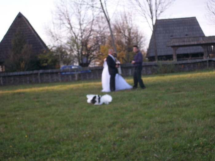 ALIM0105 - Nunta varului meu 4 noiembrie 2012