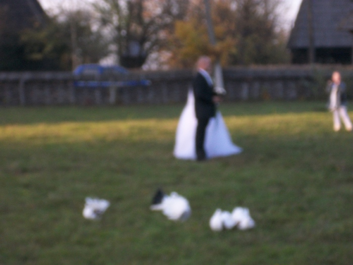 ALIM0108 - Nunta varului meu 4 noiembrie 2012