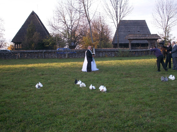 ALIM0110 - Nunta varului meu 4 noiembrie 2012