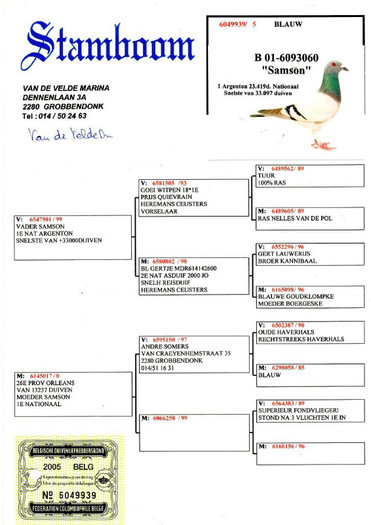 f 6 - NOI ACHIZITII part 6