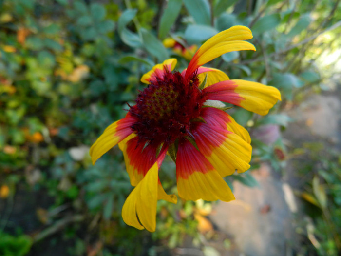 DSCN1170