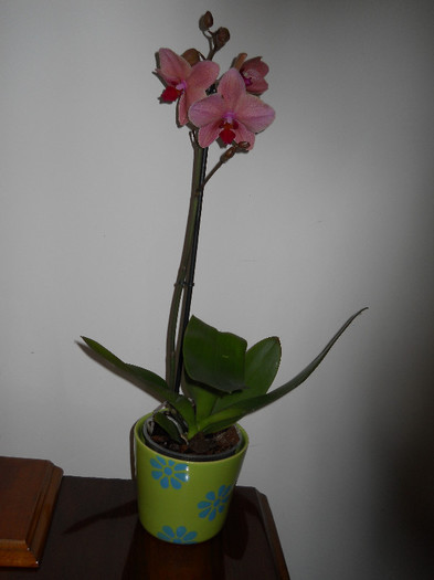 DSCN0047