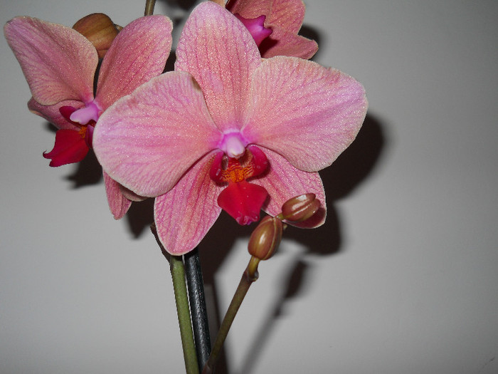 DSCN0049