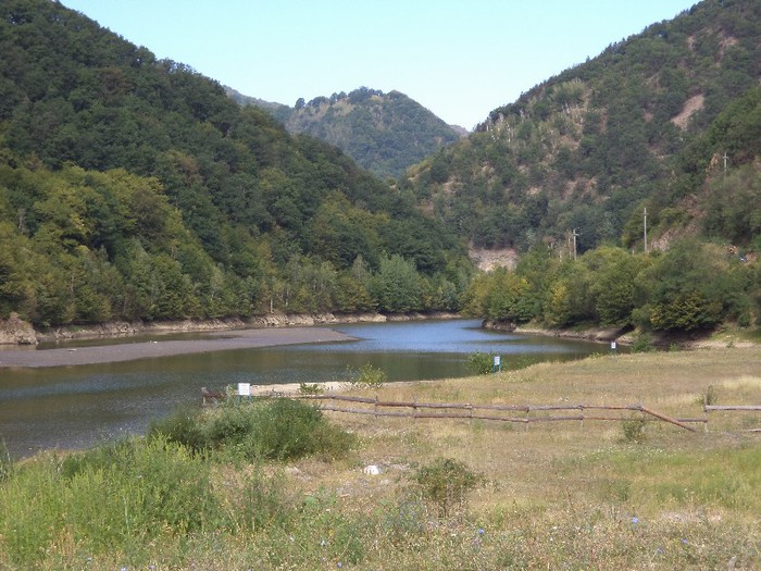 DSC01981 - Transalpina