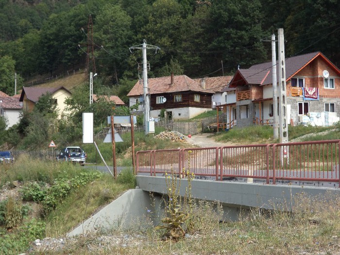 DSC01982 - Transalpina