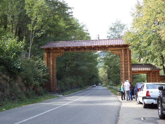 DSC01985 - Transalpina