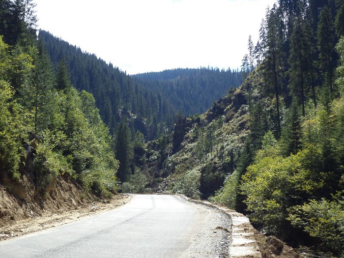 DSC02052 - Transalpina