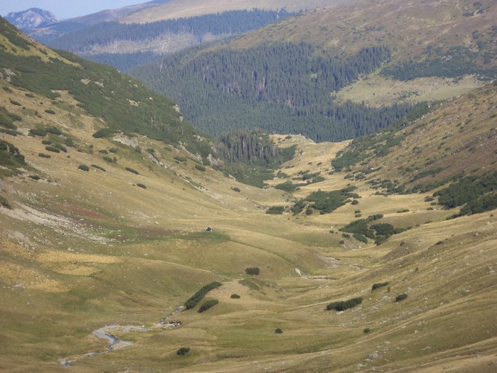 DSC02307